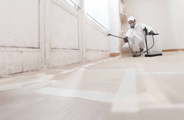 24/7 Emergency Mold Testing experts in West Long Branch, NJ