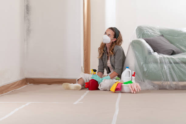 Reliable Mold Remediation contractor in West Long Branch, NJ by Cheap Mold Removal